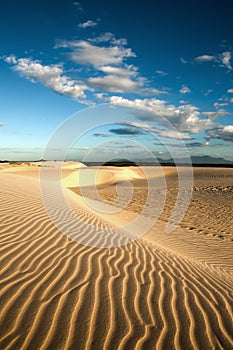 Sand dune of cumbuco