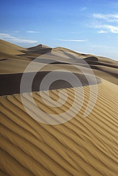 Sand Dune Curves Mexico Wild