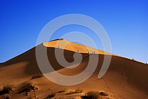 Sand dune in desert