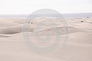 Sand Dune Desert in Maspalomas