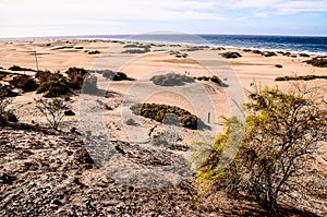 Sand Dune Desert in Maspalomas