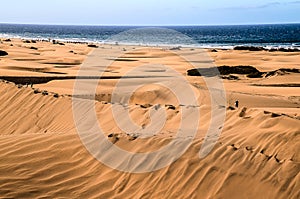 Sand Dune Desert in Maspalomas