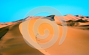 Sand Dune At Erg Chebbi In Morocco