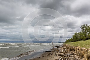 Sand dune erosion caused by Lake Huron wave action