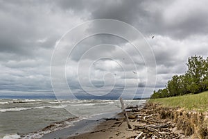 Sand dune erosion caused by Lake Huron wave action photo