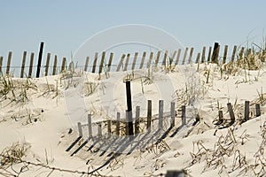 Sand dune and fence