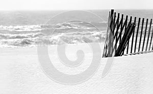 Sand Dune Fence on Beach