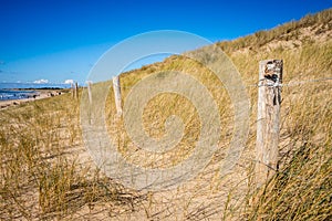 Sand dune and fence on a beach, Re Island, France