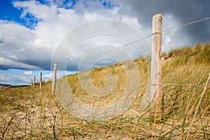 Sand dune and fence on a beach, Re Island, France