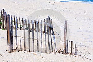 Sand Dune Fence on Beach