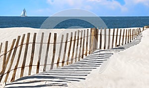 Sand Dune fence at Seashore