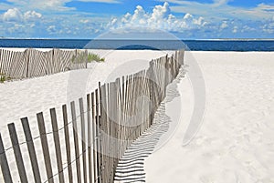 Sand dune fences on beach