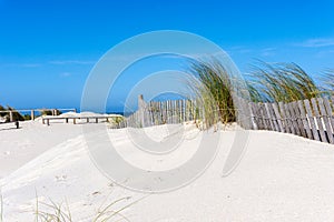 Sand Dune with grass at the seaside