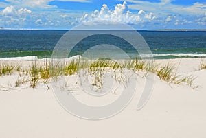 Sand dune and grasses on beach