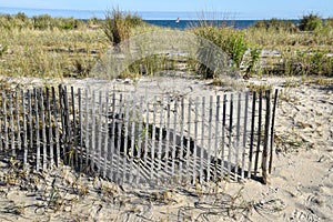 Sand dune hill with tall green grass and a wood slat wind fence the ocean with a sailboat is in the background