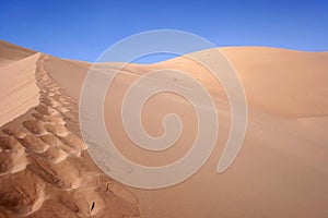 A sand dune in Khongoryn Els, the photo