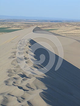 Sand Dune landscape