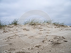 Sand dune landscape called Ladder to heaven on the island of Amrum, Germany