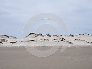 Sand dune landscape called Ladder to heaven on the island of Amrum, Germany