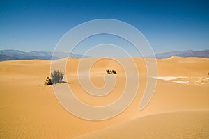 Sand dune landscape Death Valley National Park
