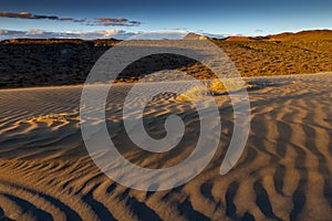 Sand dune in Nevada desert