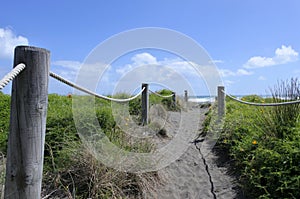 Sand dune path in Piha beach New Zealand