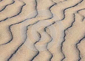 Sand Dune Patterns