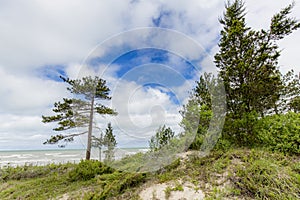 Sand Dune With Pine Trees Next to Lake Huron