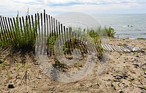 Sand dune protective fencing on Lake Ontario NYS