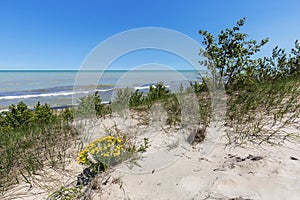 Sand Dune Ridge looking out over Lake Huron - Pinery Provincial