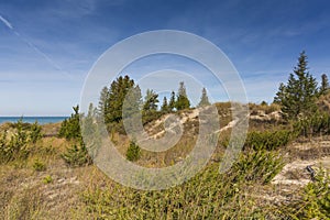 Sand Dune ridge on the shore of Lake Huron - Pinery Provincial P