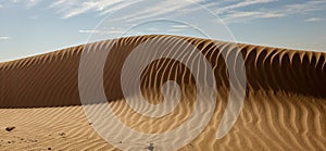 Sand dune with rippled pattern