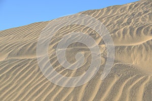 Sand dune with ripples in Maspalomas