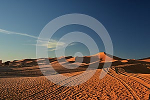 Sand dune, Sahara Desert