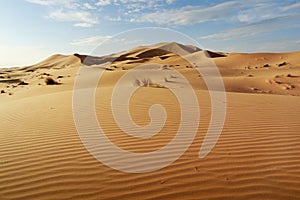 Sand dune in the sahara desert