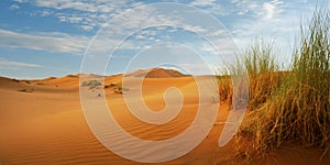 Sand dune in the sahara desert