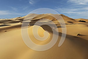 Sand dune in the sahara desert