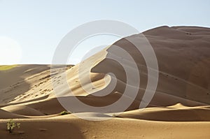 Sand dune in the Sahara Desert, Merzouga. Setting sun. Morocco