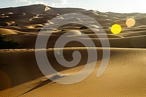 Sand dune in the Sahara Desert, Merzouga. Setting sun. Morocco