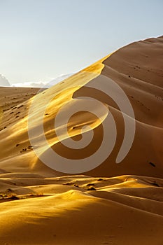Sand dune in the Sahara Desert, Merzouga. Setting sun. Morocco