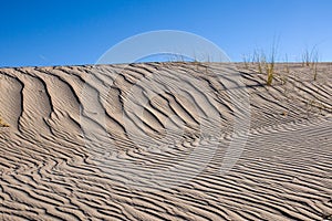 Sand dune with same marram grass