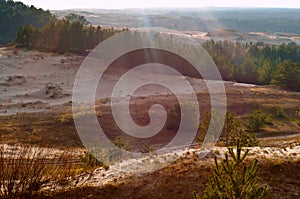 Sand dune, the sand and the grass on the hilly shore of the sea