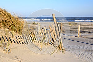 Sand Dune and Sea Oats Ocean Folly Beach South Carolina