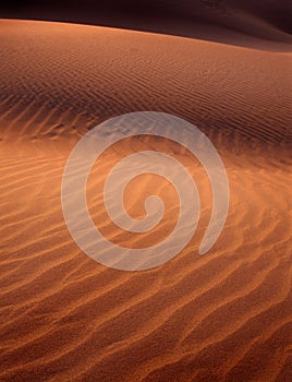 Sand Dune Shadows