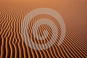 A sand dune Sossusvlei, Namibia, Africa