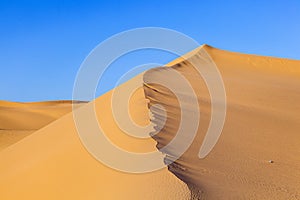 Sand dune in sunrise in the desert