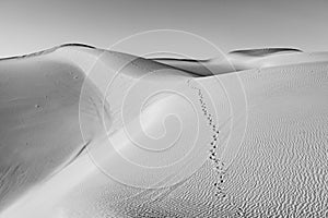 Sand dune in sunrise in the sonoran desert with human footsteps in the sand