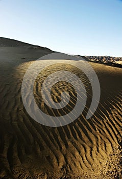 Sand dune with sunshine