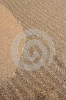 Sand dune texture
