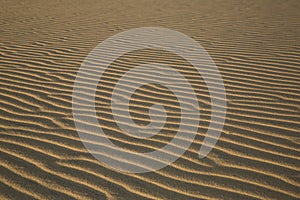 Sand Dune Texture at Sunset